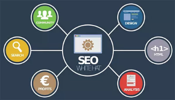 SEO、優(yōu)化、網(wǎng)站優(yōu)化